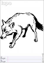 coloriage-loup-1